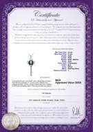 Product certificate: FW-B-AAA-89-P-Key