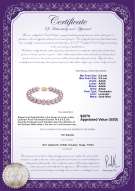 Product certificate: FW-L-AAAA-8595-B