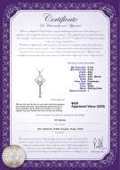 Product certificate: FW-W-AAA-89-P-Key
