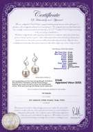 Product certificate: FW-W-AAAA-89-E-Priscilla