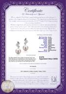 Product certificate: FW-W-AAAA-910-E-Blair