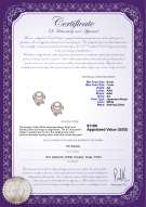 Product certificate: JAK-W-AA-67-E-Jodie