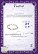 Product certificate: JAK-W-AA-89-B