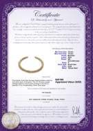 Product certificate: SSEA-G-N-C315