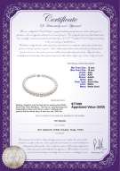 Product certificate: SSEA-W-AAA-1216-N