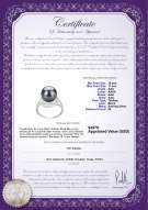 Product certificate: TAH-B-AAA-1011-R-Maddie